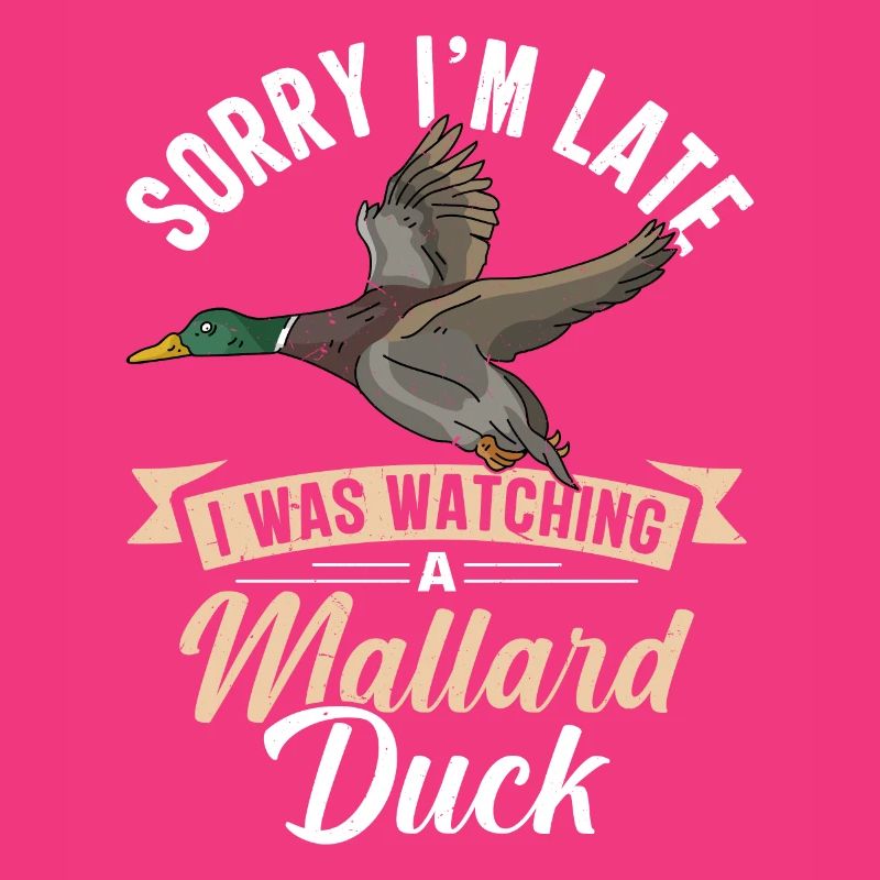 Duck Mallard