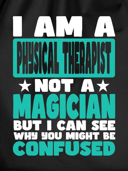 Physical Therapist