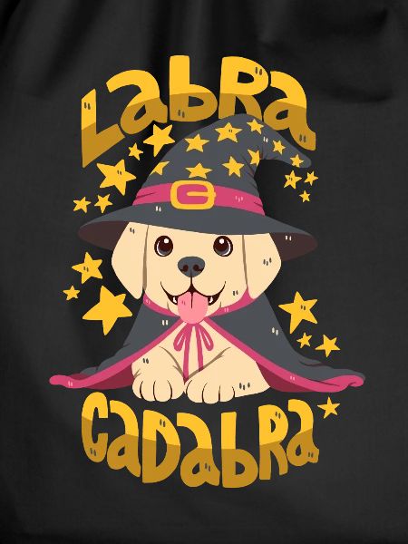 Labrador Wizard / Abracadabra
