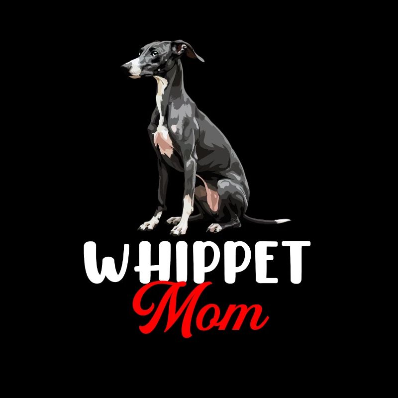 Chien Whippet