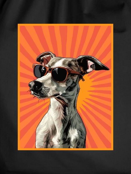 whippet dog