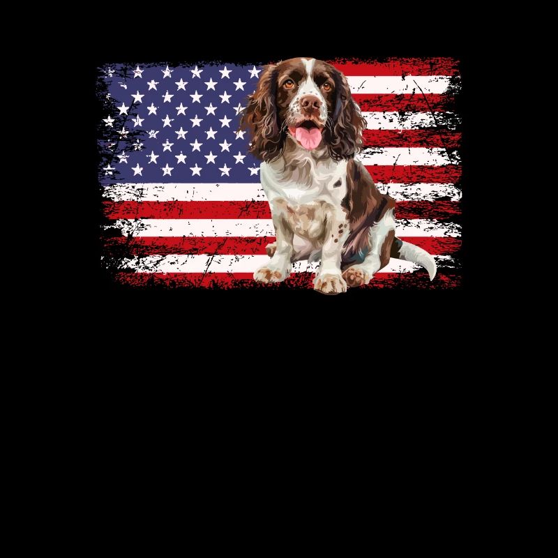 Springer Spaniel