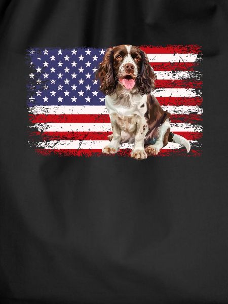 Springer Spaniel