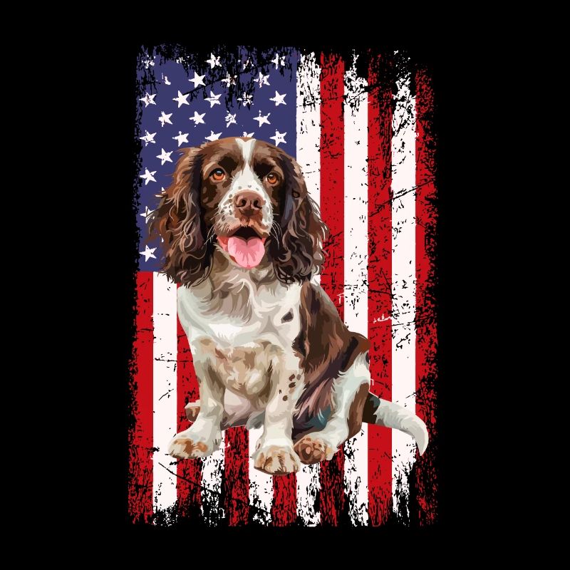 Springer Spaniel