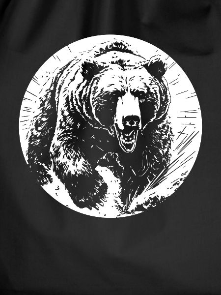 Grizzly Bear Brown Bear