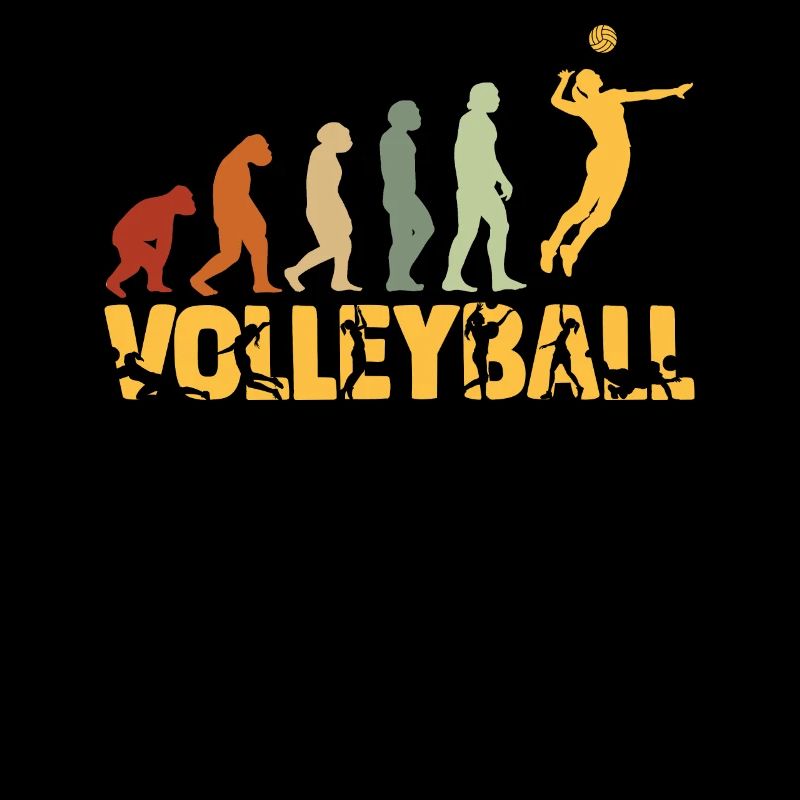 Evolution Volleyball Ball Volleyball Player Vintage