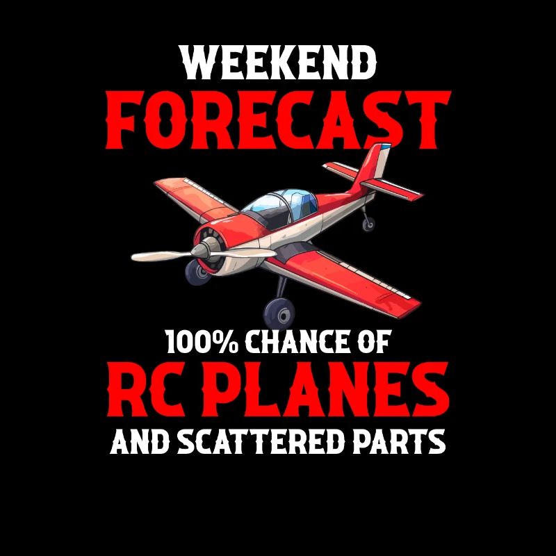 Still Playing With Airplanes RC Plane