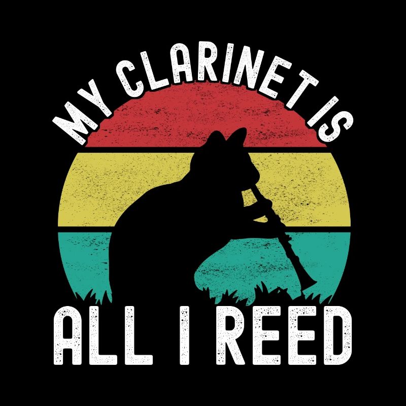 Clarinet Wind Instrument Clarinet player