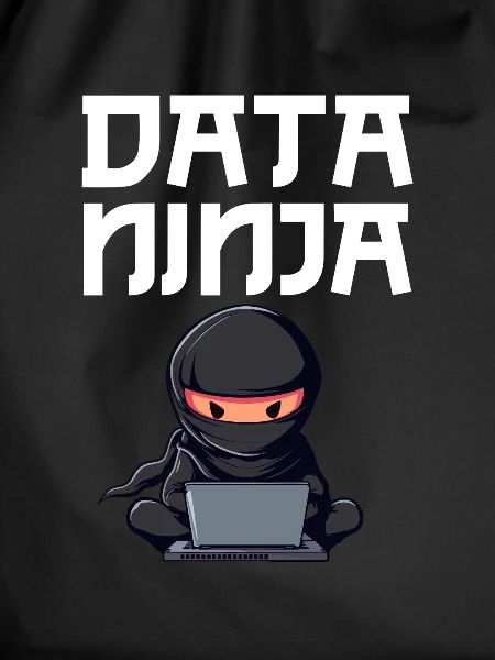 Data ninja data Scientist