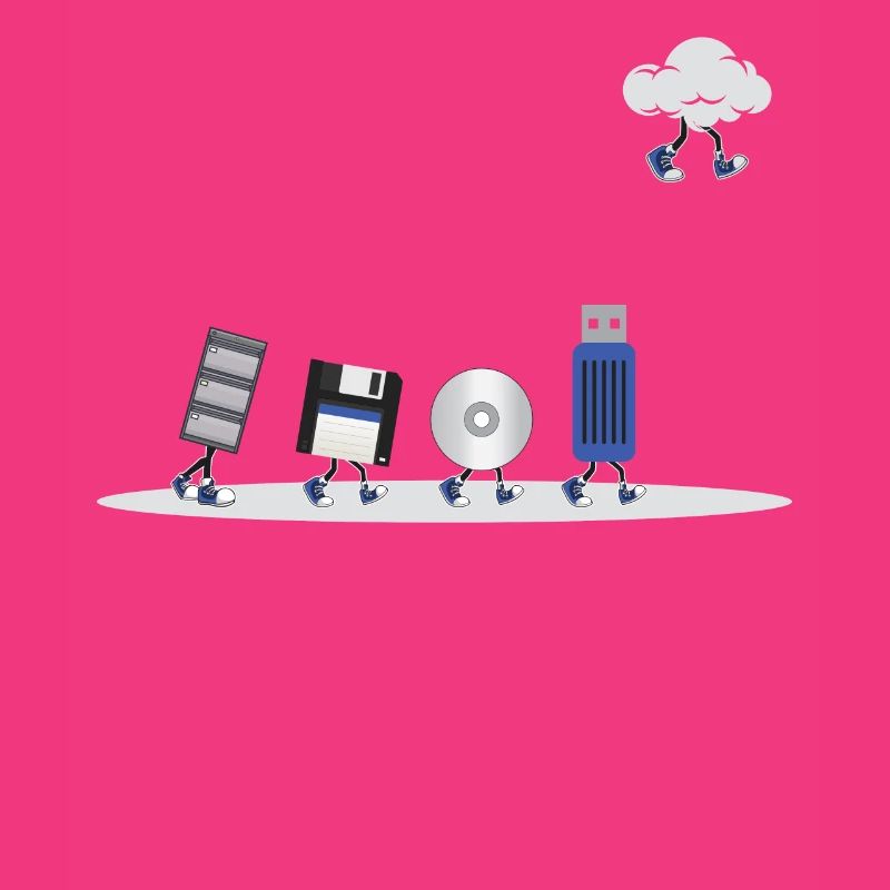 IT Geek, Accessoires PC Périphériques de stockage Evolution