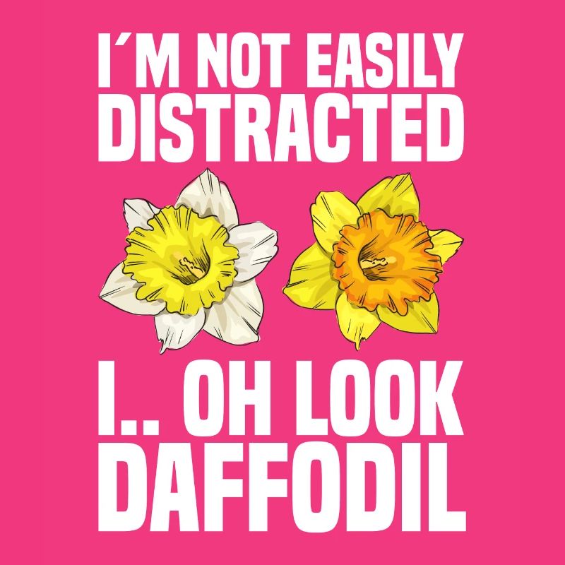 Daffodils Flower Daffodil Daffodils