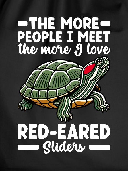 Turtle Red-eared Turtle