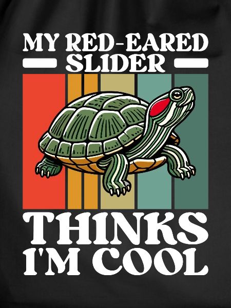 Turtle Red-eared Turtle