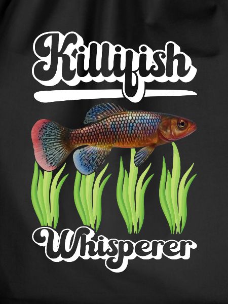 Killifish Quarium Fish