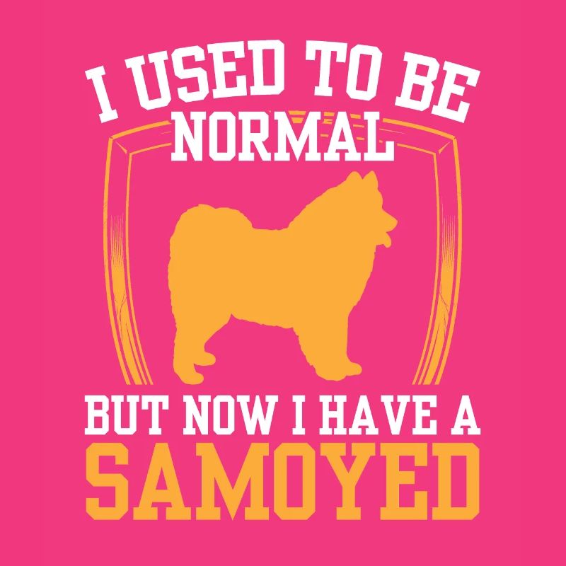 Samoyed used to be normal Samoyedspitz Samoyed