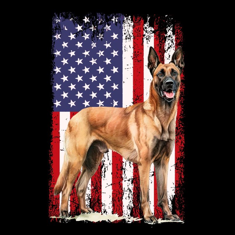 Belgian Malinois