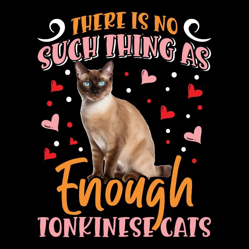 Tonkinese Cat Pet