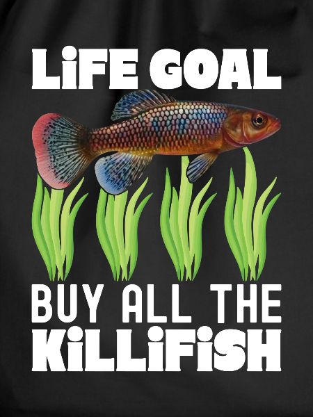 Killifisch Aquarium Fish Lovers