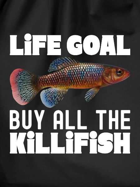 Killifisch Aquarium Fish Lovers