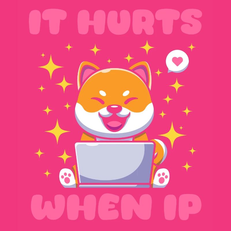 IT Geek, PC Zubehör Speichergeräte Evolution