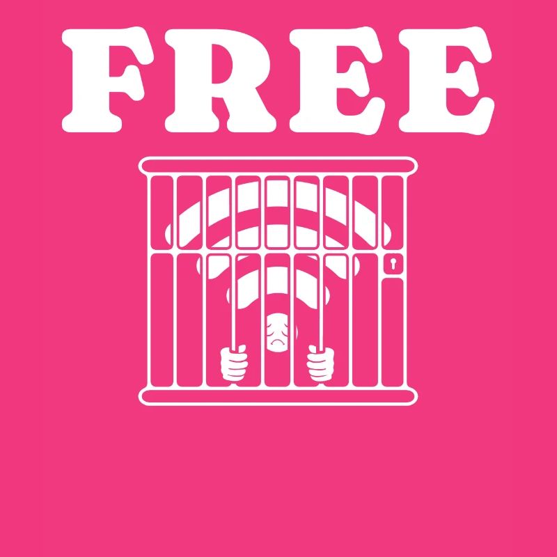 PC Funny Free Wireless PC Gift Computer