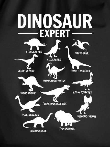 Dinos Funny Dinosaur Expert