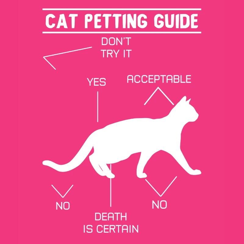 Guide de caresses pour chat
