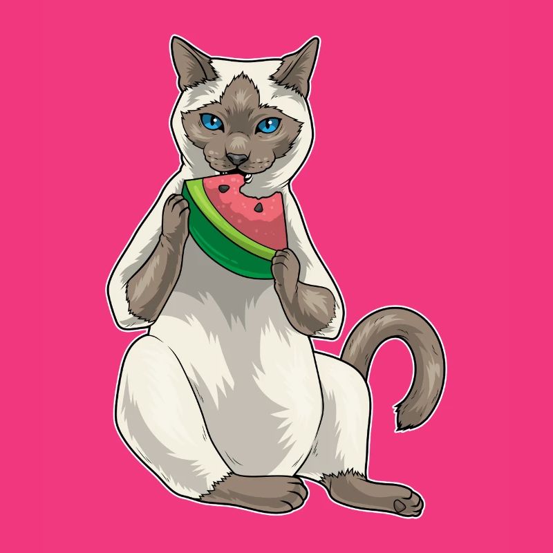 Chat siamois Pastèque