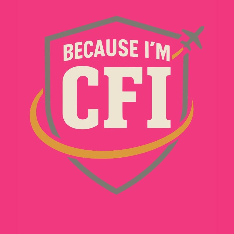 Flight Instructor Cfi Pilot Aviation Instructor