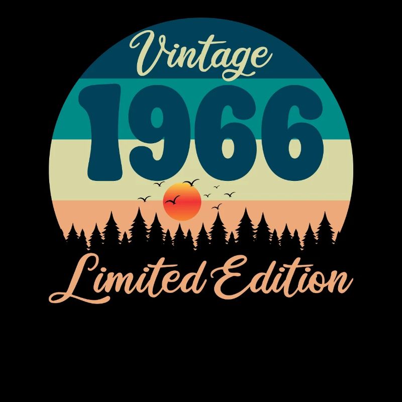 60. Geburtstag 60 Jahre 1966 Retro-Vintage-Geschenk