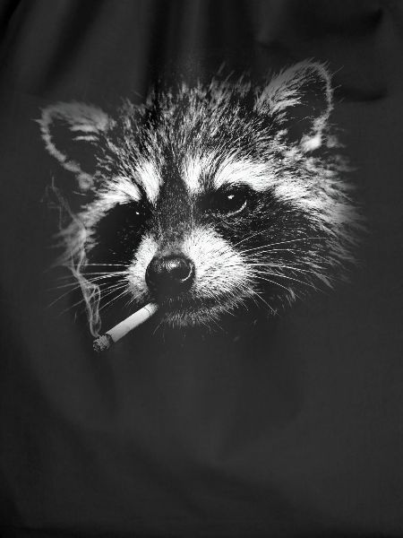Rauchen, Zigarette, Waschbär raucht eine Zigarette