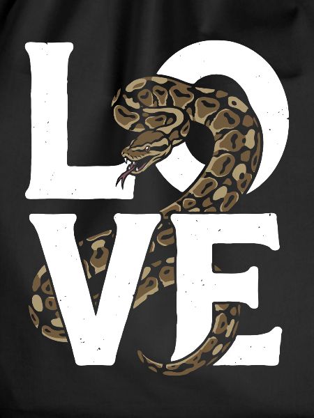 Königspython Schlangen LOVE Terrarium Python