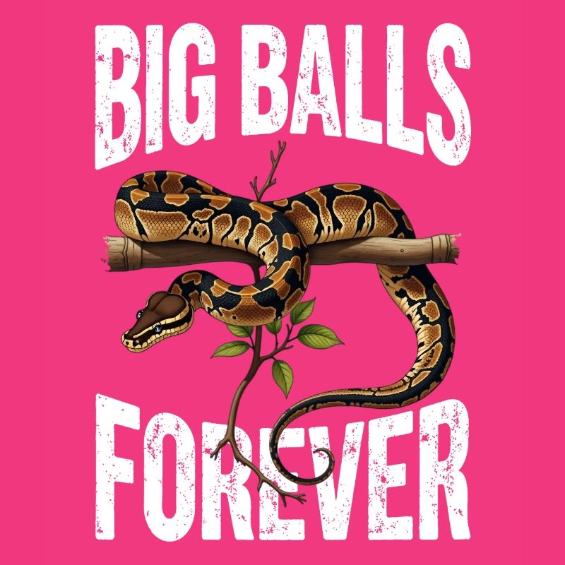 Python roi Serpents Amateurs de terrarium Python