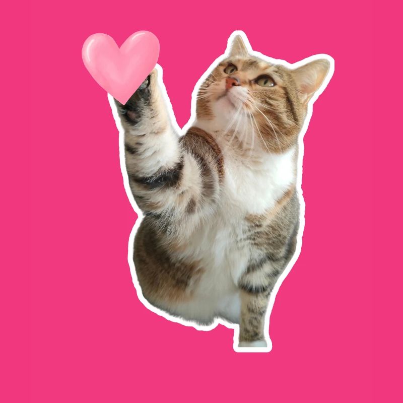 Missty check a heart
