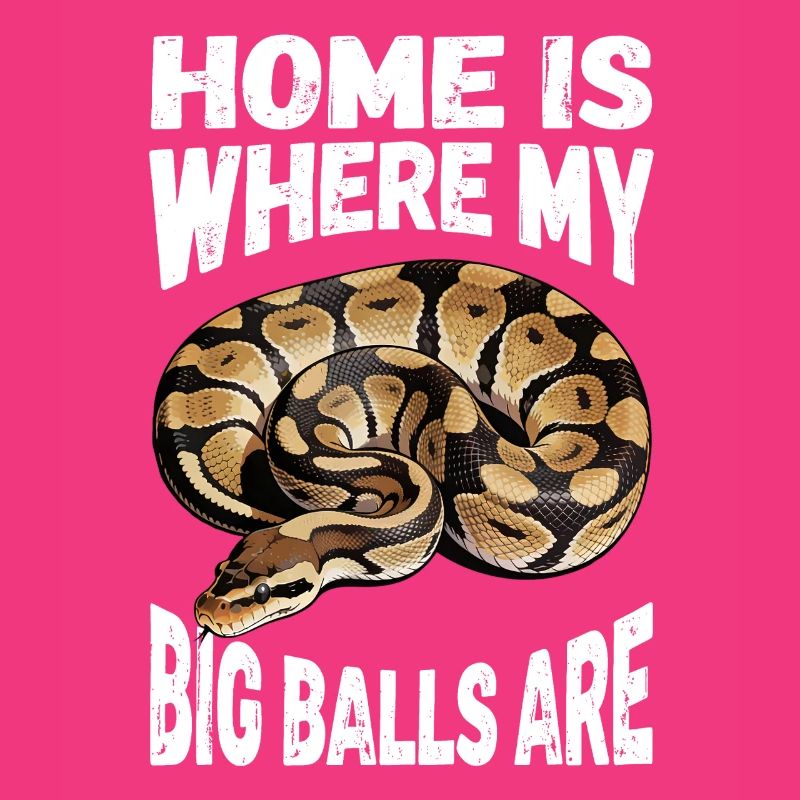 Python roi Serpents Amateurs de terrarium Python