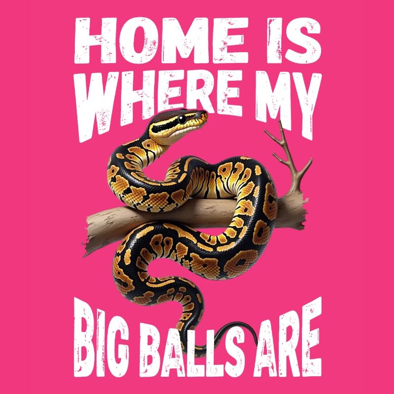 Königspython Schlangen Liebhaber Terrarium Python