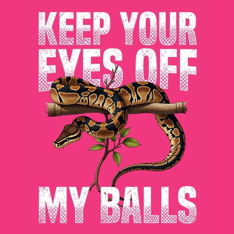 Königspython Schlangen Liebhaber Terrarium Python