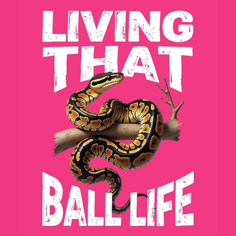 Königspython Schlangen Liebhaber Terrarium Python