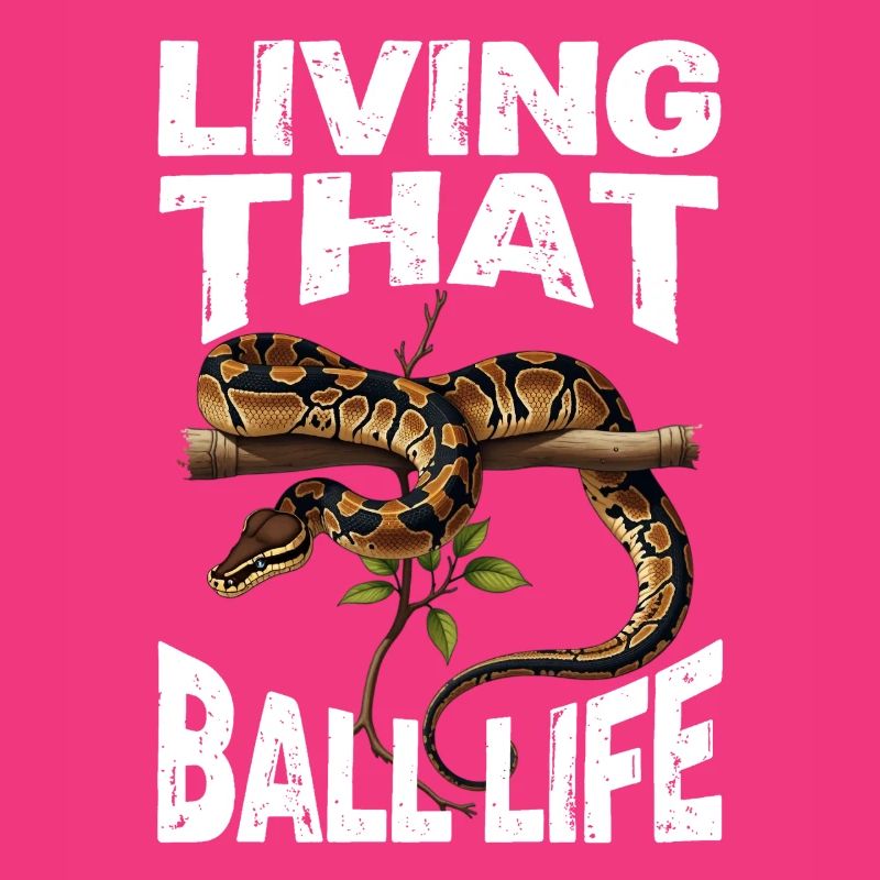 Python roi Serpents Amateurs de terrarium Python