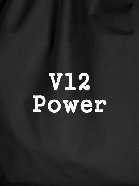 v12power