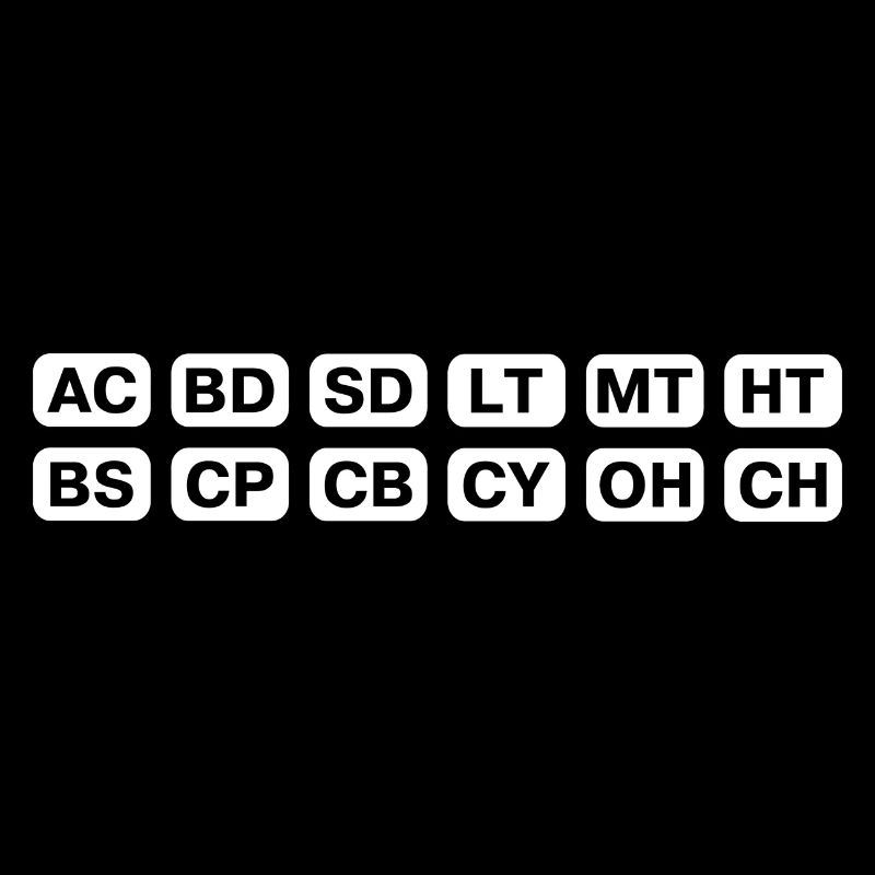 Synthesizer musician keyboard gift