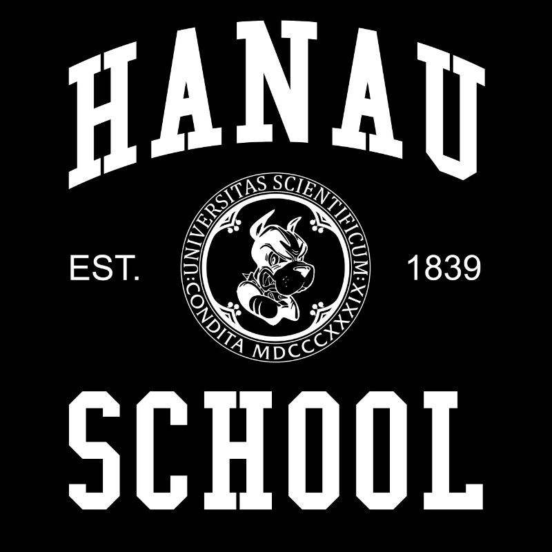École de Hanau Collège universitaire École universitaire