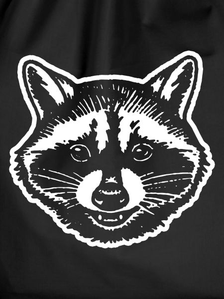 Raccoon