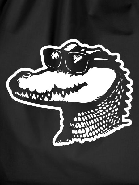 Crocodile Alligator