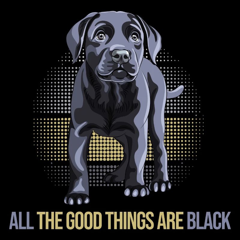 chien labrador noir chien élevage labrador noir