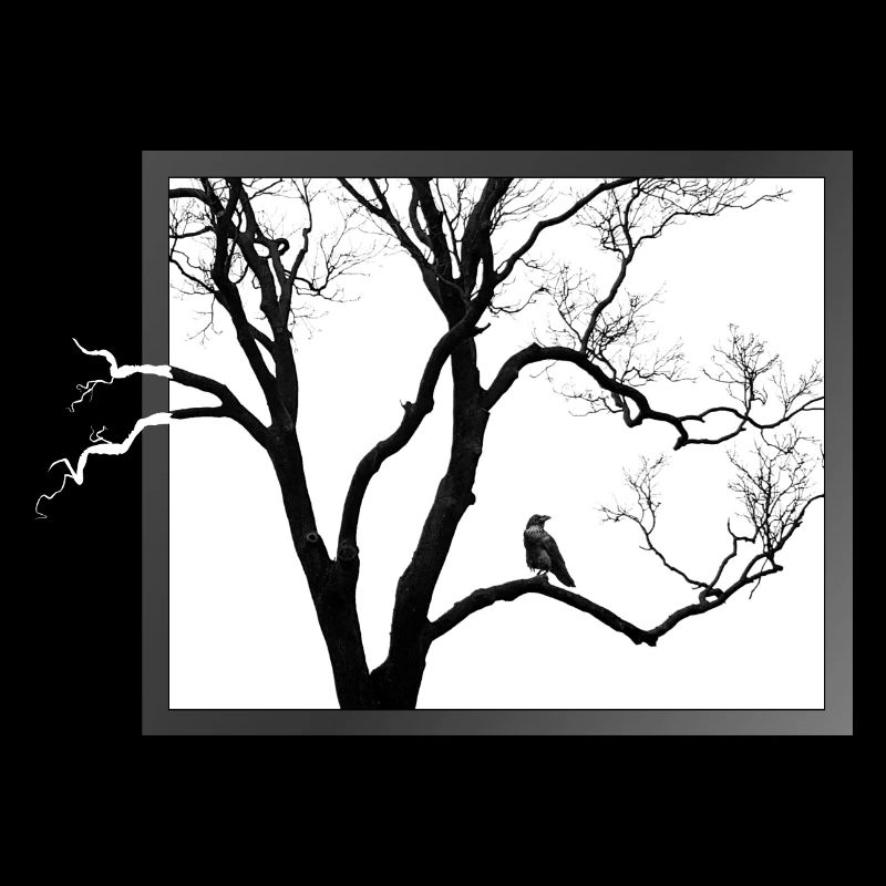 Krähe im Baum - Shirt - Geschenk