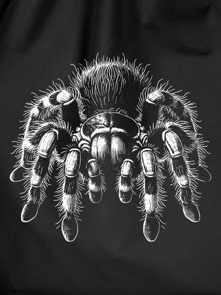 Large Hairy Tarantula Tarantula