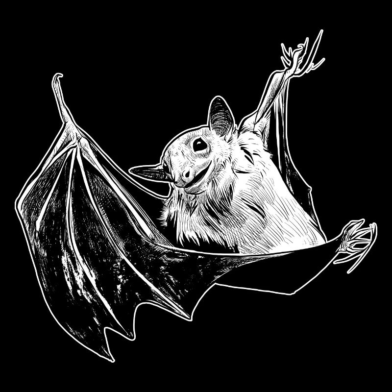 Bat night forest animal darkness fly