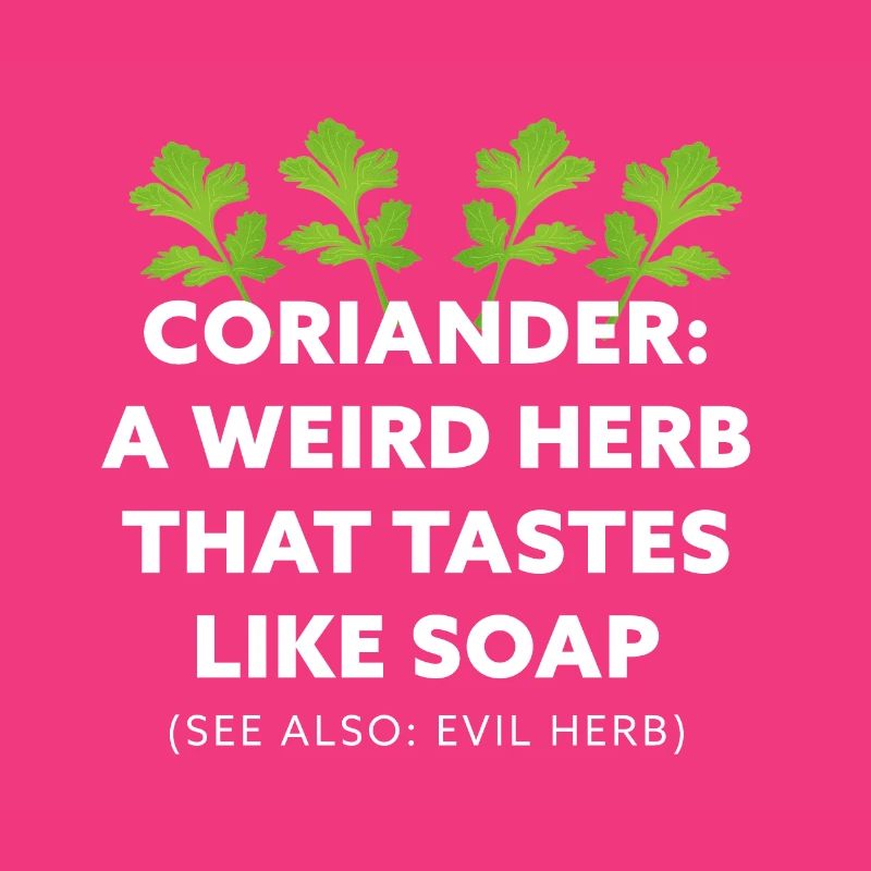 Coriander: A weird Herb that tastes like Soap Gift