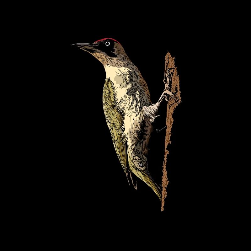 Cadeau de pic vert pour l'observation des oiseaux